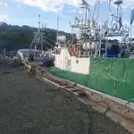 拖网渔船 待售