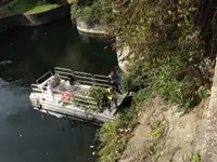 集装箱船 出售