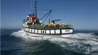 Trawler 出售