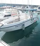 邮轮 待售