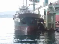 散货船 出售