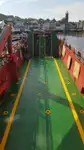 滚装船 待售