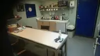 滚装船 待售