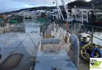 驳船 待售