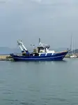 Trawler 出售