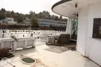 渡轮 待售