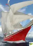 游轮 出售