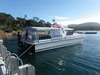 双体船 出售