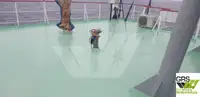 散货船 待售
