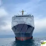 滚装船 待售