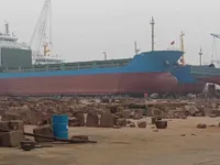 集装箱船 待售