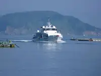 渡轮 待售