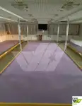 滚装船 待售