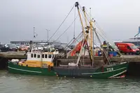 Trawler 出售