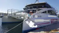 客船 出售