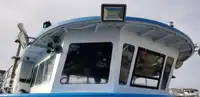 双体船 待售