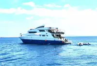 潜水支持 出售