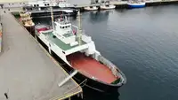 滚装船 待售