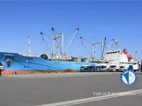 冷藏船 出售