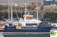海上风电场服务船 待售