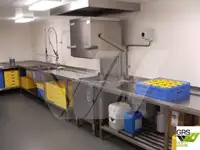 集装箱船 待售