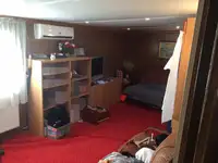 集装箱船 待售
