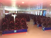 邮轮 待售