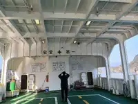 滚装船 待售