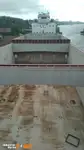 集装箱船 待售