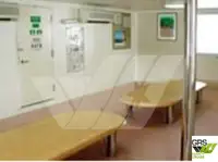 滚装船 待售