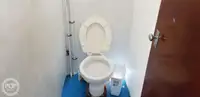 双体船 待售