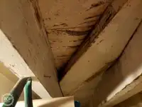 渡轮 待售