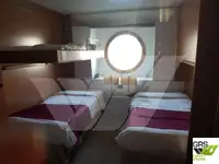 邮轮 待售