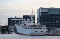 拖网渔船 待售