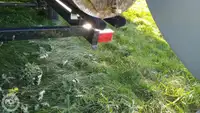 集装箱船 待售
