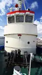 拖船 出售
