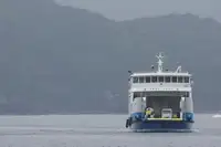 滚装船 待售