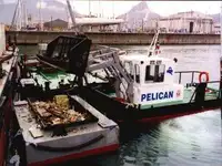 驳船 待售