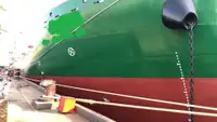 集装箱船 出售
