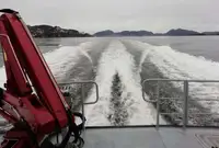 工作船 待售