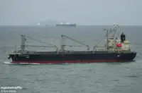 散货船 出售