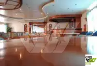 集装箱船 待售