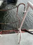 引航船 待售