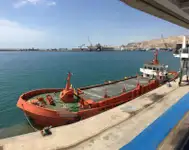 集装箱船 待售