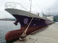 General Cargo/Multi-purpose 待售