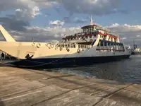 Ro-Ro ship 出售
