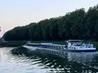 散货船 待售