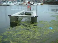 集装箱船 出售