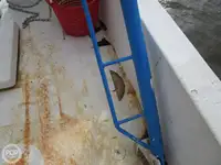 拖网渔船 待售