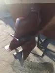引航船 待售